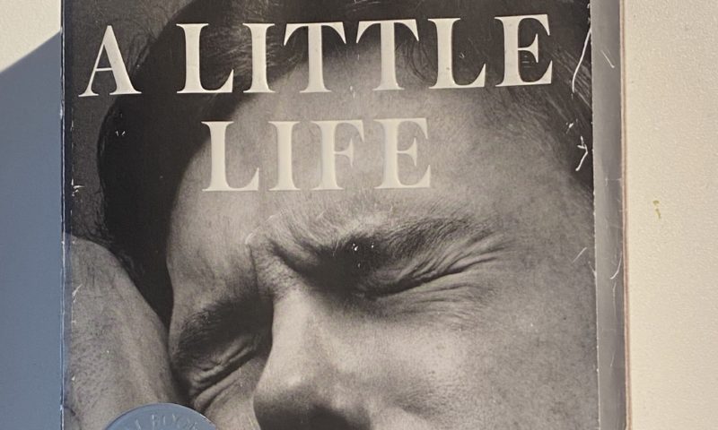 A Little Life by Hanya Yanagihara. Book Cover Art Print 